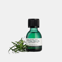 더바디샵 티트리 20ML