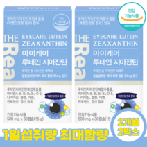 루테인 지아잔틴 눈 건강 영양제 뉴테인 눈에좋은 영양제 비타민 A E D B1 B2 B6 B12 나이아신 판토텐산 엽산 셀렌 아연 밀크씨슬 추출물 레시틴 오메가3, [2개월]-2박스