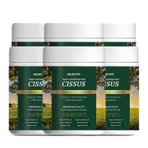 셀렉트핏 시서스가루 50배 농축 추출물 시저스 300g, 6개