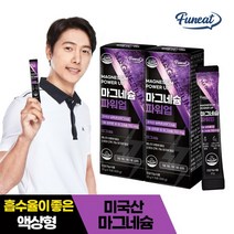 퍼니트 마그네슘 파워업 15p, 300g, 2개