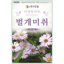 다농 벌개미취 300립 야생화씨앗