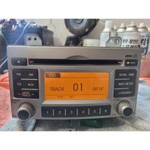 뉴카렌스 카오디오 뉴카렌스 오디오 96150-1D010 자출