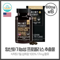 허니 비즈 프로폴리스 600mgx60캡슐X6개 플로폴리스 추출물 아연 셀렌 3중 복합기능성 미국정식수입제품 하루1캡슐 간편섭취, 본문참고, 허니 비즈 프로폴리스 600mgx60캡슐X6개 플로폴리, 본문참고