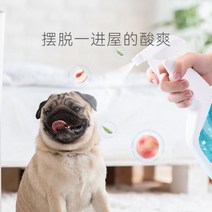 애완 동물 고양이 개 방취제 실내 소변 쓰레기 비 소독 스프레이 청소 용품