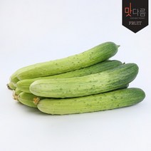 [맛다름] 백다다기오이 10개, 1개, 0