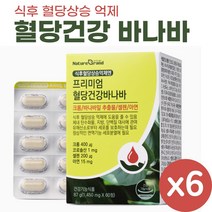 식후 혈당 상승 억제 엔 프리미엄 혈당건강 바나바 리프 영양제 바나바잎 추출물 코로솔산, 6개, 60정