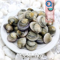 살아있는 자연산 모시조개 500g 1kg (백모시 흑모시 가무락 봉골레파스타 조개탕 조개찜 도매용), 선택02. 백모시(중국) 1kg