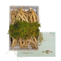 효능에 차이가 없는 난발삼 인삼 500g/750g [세척 비세척] 세척시 비닐포장, 500g세척 비닐 포장, 1개