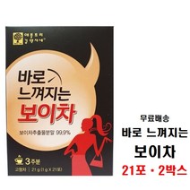 애플트리김약사네 바로 느껴지는 보이차, 1g, 21개입, 2개