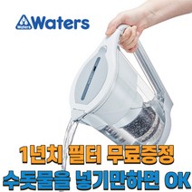 휴대용 알카리수 미네랄 캠핑용 미니 정수기 워터저그 워터스 필터1년치포함 수도물 녹물 중금속 필터, 단품