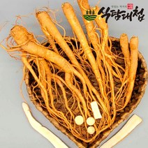 식탐대첩 2-3년재배 국내산 햇 생도라지 1kg, 1