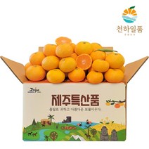 [우체국쇼핑] 천하일품 제주 노지 조생감귤 10kg (꼬마), 상세 설명 참조