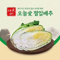 오늘애푸드 절임배추20kg, 강원도/12월20일 화요일 도착