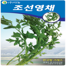 다농원예가든 조선영채(한국형크레스)5g