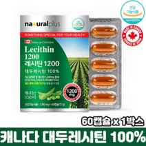 캐나다 레시틴 식물성 인지질 식약처인증 순수 대두레시틴 100% 혈중 콜레스테롤 개선, 1박스, 60캡슐