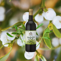 국내산 100% 겨우살이 발효액 750ml, 4병