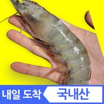 신안 흰다리 양식 냉동 새우 대하 국산 새우 생새우 회 활새우 왕새우 대 소금구이 구이용 1kg 2kg, b1 급냉 1KG (30미내외)16시전내일착