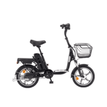 삼천리 전기자전거 팬텀베스티아플러스16인치 1단스쿠터형, 라이트 그레이