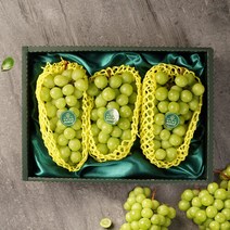 감동 [세원팜스]고당도 샤인머스캣 1.5kg 2-3수 선물세트