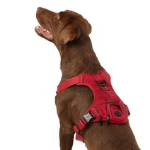 KONG 내구성이 뛰어난 쓰레기 봉투 하네스(라지 그린), Red, Large, Red_Large