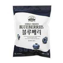 베리필드 냉동 블루베리 1kg / 칠레산 이룸푸드시스템, 3kg, 1개