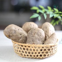 친환경 유기농 열대둥근마 황진이농장 [산지직송] 꼬마 2kg 3kg 5kg