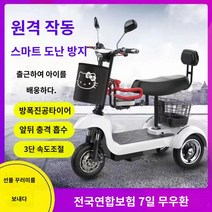 배달 전기자전거 전동오토바이 접이식 삼륜 세발, 맞춤 제작: 리튬배터리 용량 증대, 48V