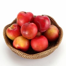 경북 의성 새콤달콤 자두 1+1kg 3kg 5kg 당도 프리미엄 대왕자두, 새콤달콤 자두 5kg