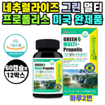 네추럴라이즈 항산화 프로폴리스 아연 비타민 60캡슐 x 12병 x 12개월분