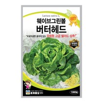 모칸도 세계종묘 상추씨앗 웨이브 그린볼 버터헤드 1000립