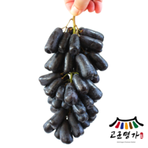 고군명가 과일의 보석 국내산 블랙 사파이어 포도 2kg 2팩, 2개