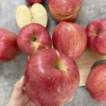 달티어 안동사과 홍로사과 부사 가정용 5kg, (정품) 홍로 소과 23-28과 5kg