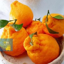 똑같은_제주특산물_한라봉_맛은_흠집과(혼합)_10kg_상품과 584D, 상세페이지 참조