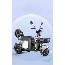 삼륜 전동 스쿠터 동반 애견 전동자전거 성인용 세발, 600W 모터 (48V) 20ah 납산