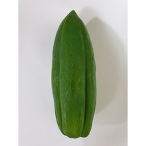 파파야 (쏨땀용 400g 이상 500g내외)