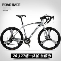 입문용로드자전거 24단 27단 로드바이크, 27단 - 티타늄 실버