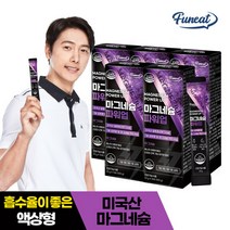 퍼니트 마그네슘 파워업 15포 x 5박스 총 75포