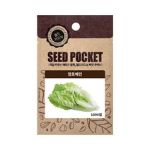 월드가드닝 청로메인 씨앗, 단품