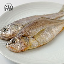 라이브커머스(공영라방) [피에스케이리테일] 영광 법성포 굴비 대장대 20미, 1