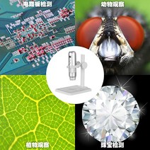 휴대용 디지털 전자 현미경 확대경 USB 핸드폰연결, 1000회  범용 브래킷컴퓨터 연결 가능