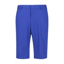 남성 국산 스판 골프 반바지 FW-PTH-172710-2-블루