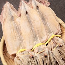 홍쓰건어물 동해안 마른오징어 20마리, 1개, 1kg