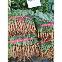 노지 여수 햇 생고들빼기 꼬들빼기, 고들빼기2단(2.6kg)
