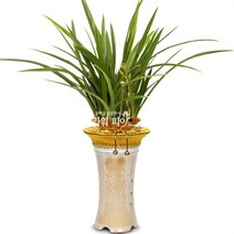 플라워피아 서양란 동양란 축하화분배달 개업 승진 취임 고급선물, 1개, 13.옥화