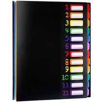Shappy 12 Pocket Expanding Project Sorter Heavy Duty Plastic Multi Pocket Rainbow File Folders Organ, 1