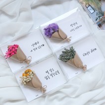 드라이플라워 카드 모음전(+문구)/가로형 엽서/생일 감사 기념일편지 메시지, 문구추가 20자이내, 06. 안개꽃(주황)