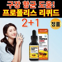 프로폴리스 리퀴드 액체 액 액상 플라보노이드 프리 플로 폴리 포리 포르 폴리스 프로폴스 프로폴리 프로플리스 기관지복합식품 항산화 구강 항균 도움 면역력 면역력에 먹는 영양제, 2+1통