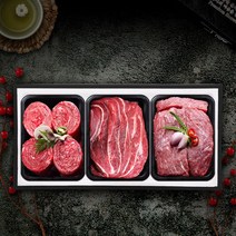 [명품횡성청정한우]횡성한우 예그리나 정육세트 4호(2.1kg), 단품