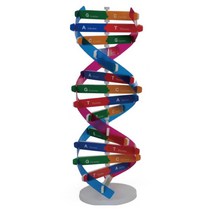 DNA 이중나선 입체 모형 만들기 과학 교구 키트 연구실 학생 화학분자구조