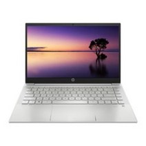 HP 2022 파빌리온 노트북 14, Natural silver, HP Pavilion Laptop 14-ec0030AU, 라이젠3, 256GB, 8GB, Free DOS